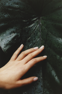 Thumbnail 01